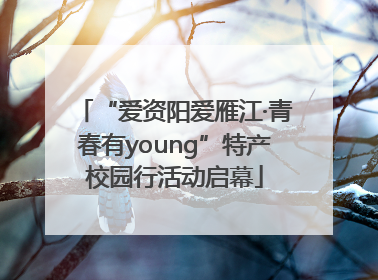 “爱资阳爱雁江·青春有young”特产校园行活动启幕